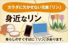 カラダに欠かせない元素「リン」 身近なリン 暮らしのすぐそばに「リン」があります。